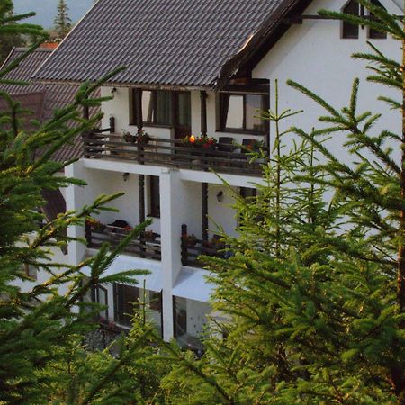 Cetina Ξενοδοχείο Ranca Εξωτερικό φωτογραφία