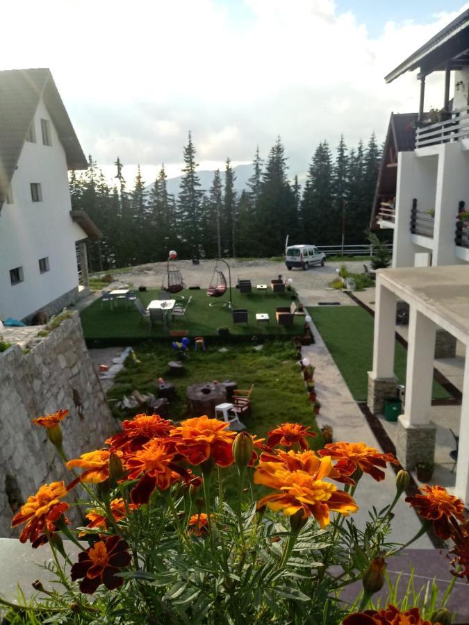 Cetina Ξενοδοχείο Ranca Εξωτερικό φωτογραφία